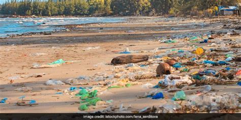 Plastic Pollution Fishing Harbours Beaches Near Fishing