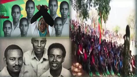 Oduu Afan Oromo Guyya Harra Amma Nu Gahe Youtube