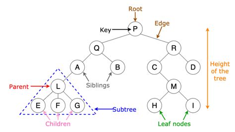 How To Find Parent Node In Binary Tree Parenting Info