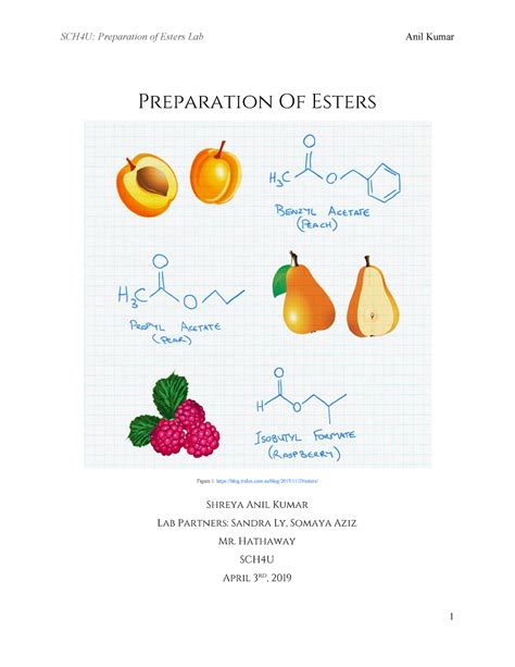 Preparation Of Esters Lab - Preparation Of Esters Figure 1: blog.trulux