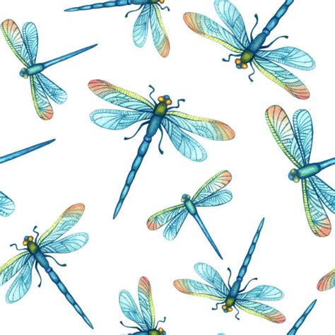 Drawing Of A Dragonfly To Print Illustrations Royalty Free Vector