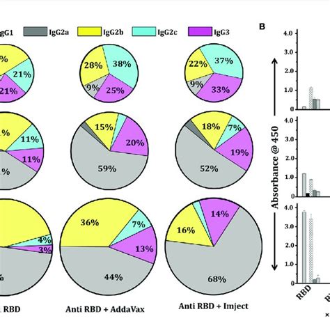 Igg Subtyping Of Adjuvant And Non Adjuvant Group A Pie Chart Shows Download Scientific