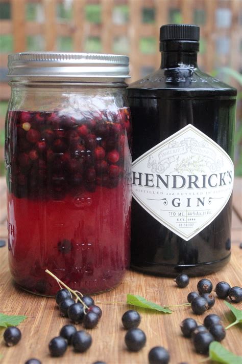 Homemade Blackcurrant Gin Recipe