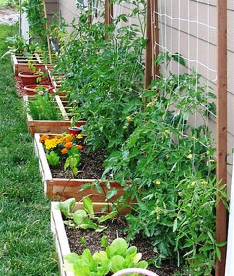 Famous Container Vegetable Gardening Beginners Ideas Atelieartemae