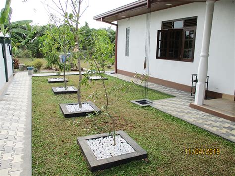 Landscaping Company In Sri Lanka Landscaping Work In Sri Lanka