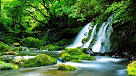 Waterfall In Forest Hd Wallpaper Background Image 1920x1080