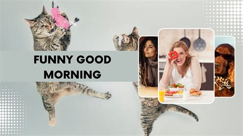 150 Funny Good Morning Messages Wishes And Quotes