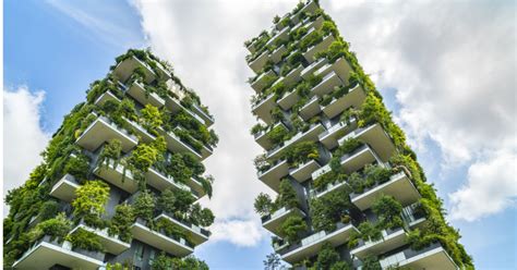 5 Reasons For Installing Urban Green Walls Goodnet