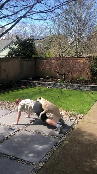 Dog Humps Woman Doing Yoga Video Dailymotion