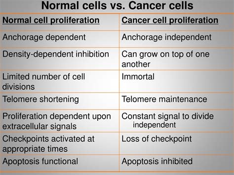Ppt Chapter 21 The Genetic Cell Biology Basis Of Cancer Powerpoint