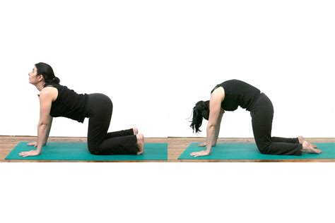 Check spelling or type a new query. Stretching Exercises for Your Back