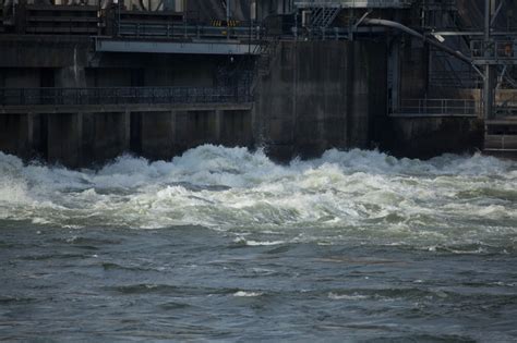 What Happens At Conowingo Dam Is Amazing