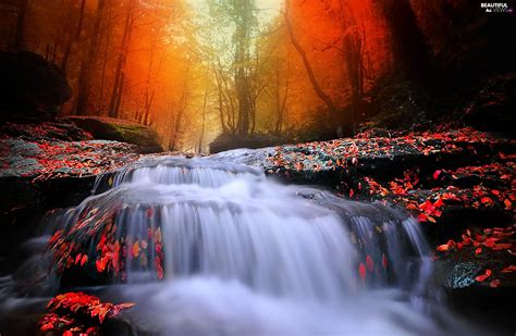 Autumn Waterfall Forest Beautiful Views Wallpapers 2048x1335