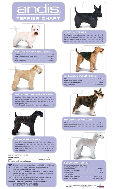 Andis Clipping Guide Terriers Dog Grooming Shop Dog Grooming