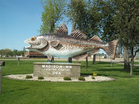 Going Fishin Minnesotas Giant Fish