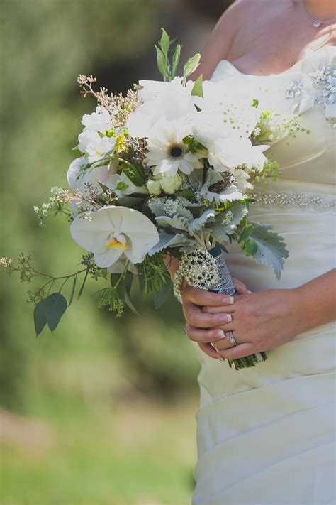 Order daisies for your event directly from grower! White Orchid, Dusty Miller, Daisy Bridal Bouquet