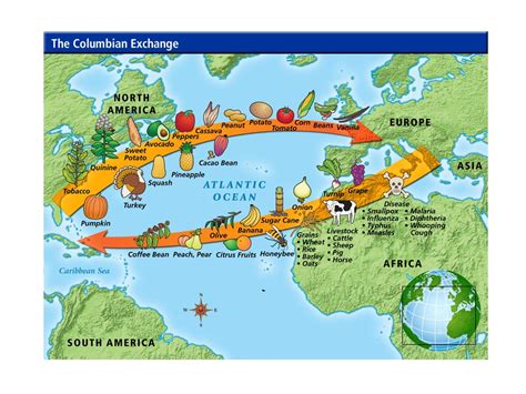 Mr Ramirezs History Blog Age Of Exploration The Columbian Exchange