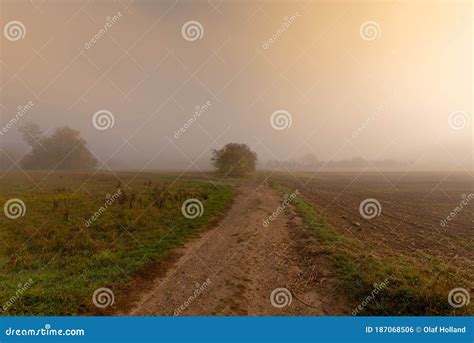 Panoramic Autumnal Foggy Countryside With Golden Foliage Trees Meadow