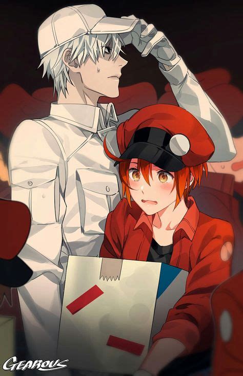 Cells At Work White Blood Cell X Red Blood Cell Anime Romantic