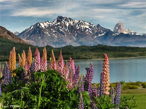 Best Time To Visit Patagonia Argentina With Helsingfors