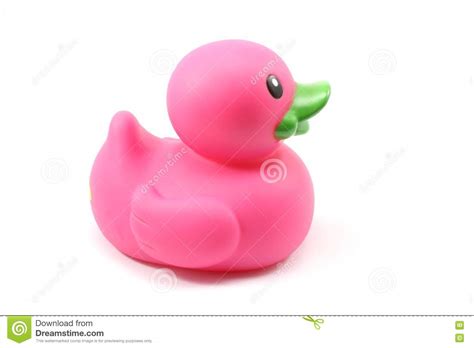 Purple Toy Duck Stock Image Image Of Cute Nature Birds 10307171
