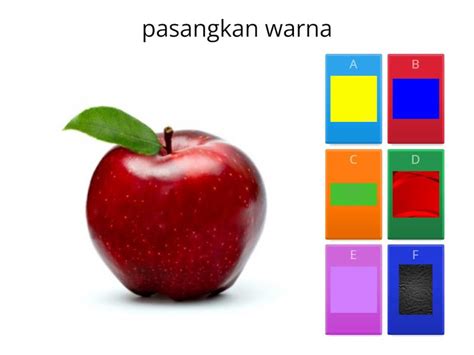 Mencocokkan Warna Quiz