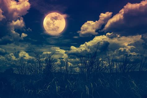 (this year, the harvest moon will be in october instead.) learn how the corn moon got its name—plus, see moon phase dates, best days by the moon, folklore, and more! 5 Facts About the Harvest Moon - Cityview