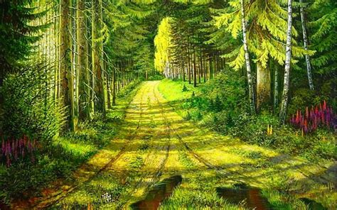 Beautiful Forest Wallpaper Wallpapersafari
