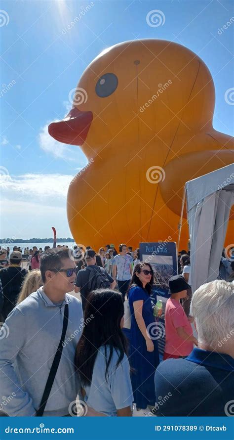 World S Largest Rubber Duck In Toronto Editorial Stock Image Image Of