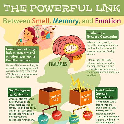 The Powerful Link Between Smell Memory And Emotion