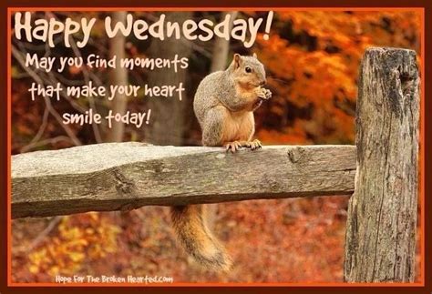 Pin By Patricia Hamm On Wednesday Happy Wednesday Make Smile Animals