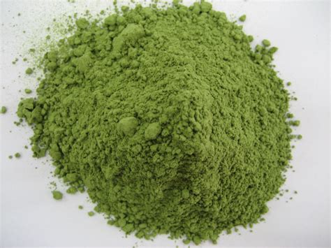 Whats the difference between a green juice powder and when i first added barley grass juice powder to my diet 3 years ago i couldn't get enough of it, i honestly felt like scarface taking multiple tablespoons daily. wheat grass juice powder ,Wheat/Barley grass powder manufacturer - Dacon China Products
