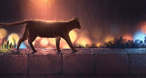 Rainy Night Anime Cat Hd Wallpaper By Pasoputi