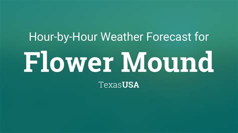 Flower Mound Weather Forecast Hourly Best Flower Site