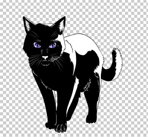 Black Cat Kitten Domestic Short Haired Cat Whiskers Png