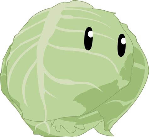 Konosubas Flying Cabbages Wiki 1000x1000 Png Download
