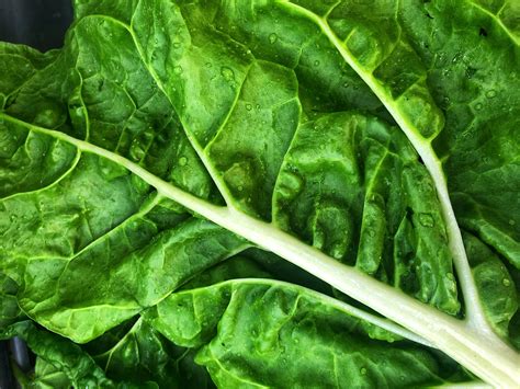 The 13 Healthiest Leafy Green Vegetables And How To Eat Them Salads E