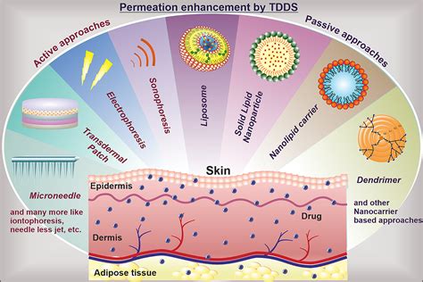 Overcoming Skin Barriers Through Advanced Transdermal Drug Delivery