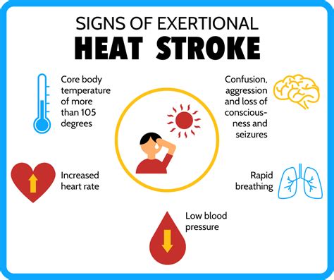 Heat Stroke And Heat Exhaustion What Is The Difference At Your Own Risk