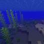 How Many Kinds Of Tropical Fish In Minecraft