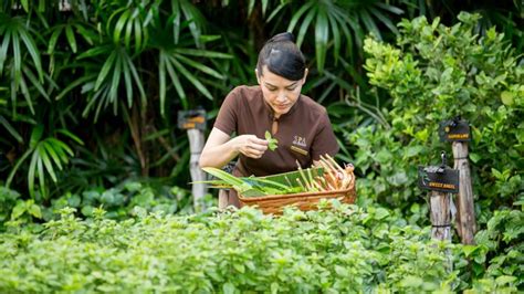 Hotels Growing Gardens In The City Passport Magazine