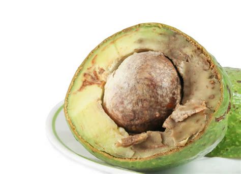 Royalty Free Rotten Avocado Pictures Images And Stock Photos Istock