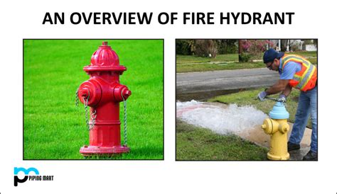 An Overview Of Fire Hydrant Thepipingmart Blog