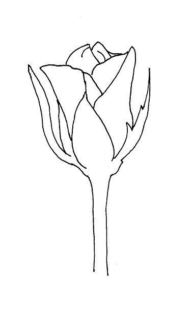 To Create Your Own Rose Bud Drawing Begin By Lightly Sketching The