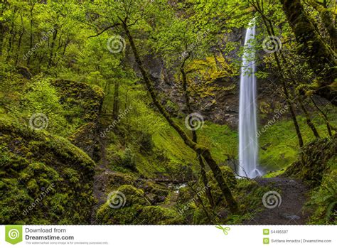 Elowah Falls Stock Image Image Of Nature Landscape 54485597