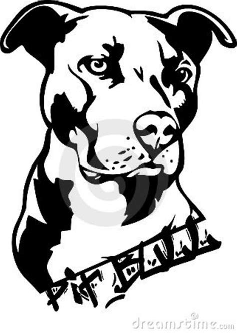 Pit Bull Dog Illustration Illustrazione Di Stock Illustrazione Di