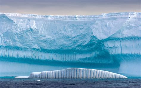 Antarctica | Antarktika, Arktis antarktis, Arktis
