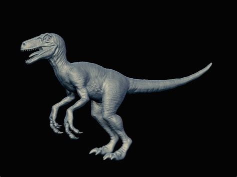 Velociraptor 3d Models For Download Turbosquid