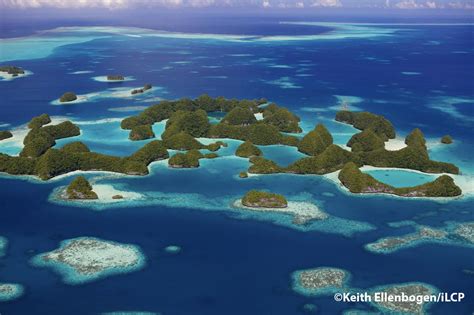 Palau Coral Reefs A Jewel Of The Ocean