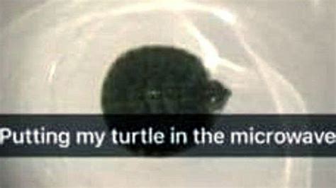 Teen Tries To Microwave Her Pet Turtle Youtube